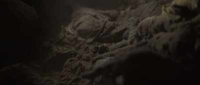 But there are so many cats,
it's really shocking. - Secrets of the Saqqara Tomb