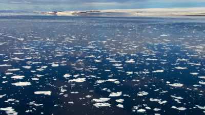 But there are now worrying signs - Blue Planet II