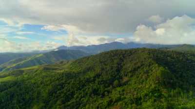 But there is one jungle
whose size is still legendary. - Our Planet
