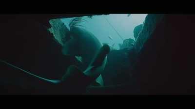 But there is one mass extinction - Envoy: Shark Cull