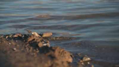 -But there were other bodies
being found, - Impact x Nightline