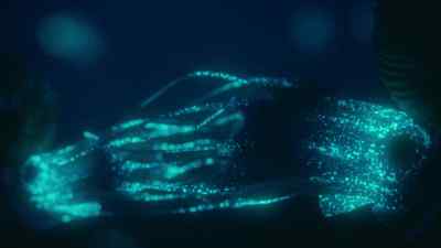 But there is perfect synchrony. - Prehistoric Planet
