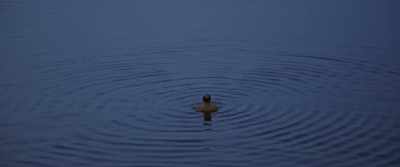 But there has to be
an interaction, - The Last Tourist