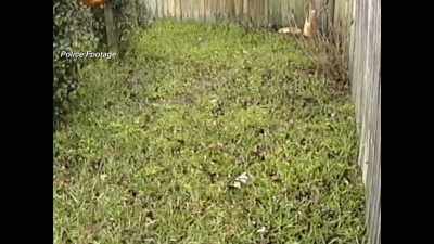 BUT THERE WAS ABSOLUTELY
NOTHING IN THAT BACKYARD - Evil Lives Here: Shadows Of Death