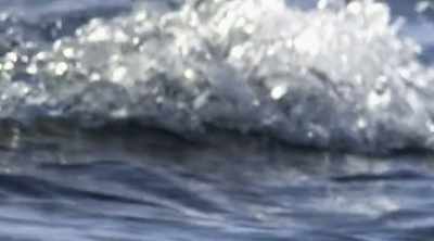 But there's another shark
whose bite is still a mystery. - Shark Attack Files