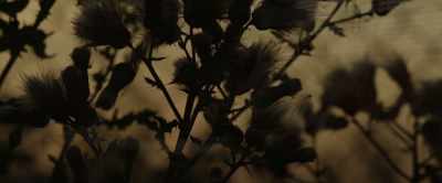 But these numbers, the
workers' debt is going up. - The Discarded
