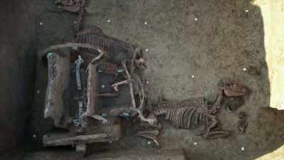 But these vehicles weren't just status symbols - Ancient Engineering