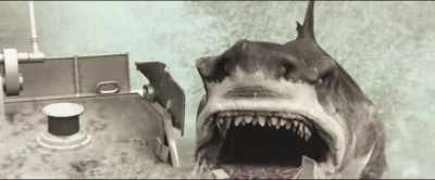 But... before they get here,
though, I think we have - Megalodon: The Frenzy