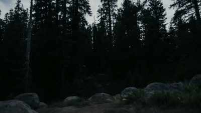 But they were observing us,
that's for sure. - Missing 411: The Hunted