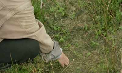 But once they start
using it again, - Geographies of Solitude