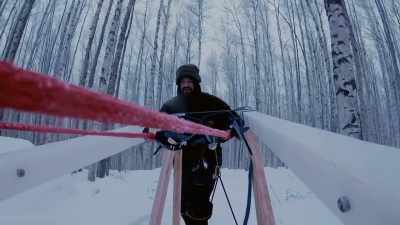 But they're also
really, really intelligent. - Life Below Zero: Next Generation