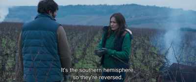 But they're not as distinct.
More like California. - Back to Burgundy