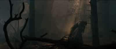 But this is not right! - Into the Woods