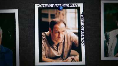 But we thought he was great. - Wise Guy: David Chase and The Sopranos