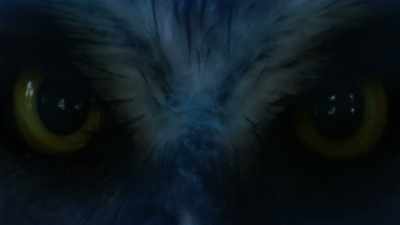 But through regression
therapy, most abductees
uncover the truth. - Extraordinary: The Seeding