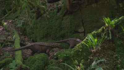 But each time they return,
they've grown a little bigger. - Prehistoric Planet