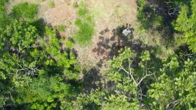 BUT TODAY, THE AMAZON
IS AT THE CENTER - Lost Cities of the Amazon