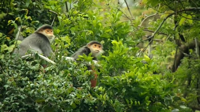 'But too much protection
can be stifling. - A Year on Planet Earth