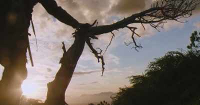 But it took me a long, long time
to shed that idea, - Stars in the Sky: A Hunting Story