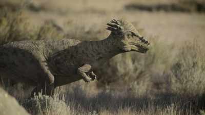 But trouble is brewing within the herd. - Prehistoric Planet
