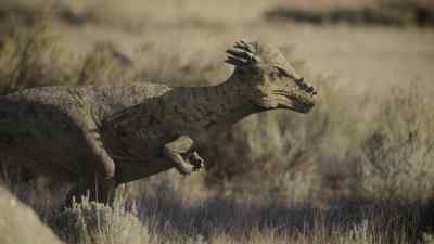 But trouble is brewing within the herd. - Prehistoric Planet