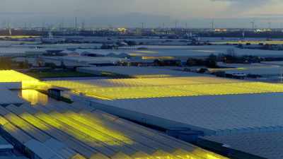 But two ingenious lettuce growers - Europe From Above