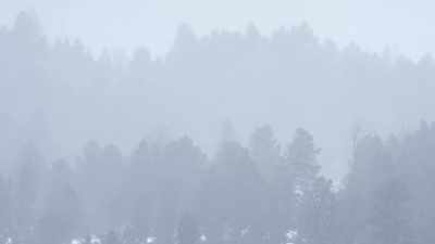 But two million winters
have shaped a creature - Epic Yellowstone