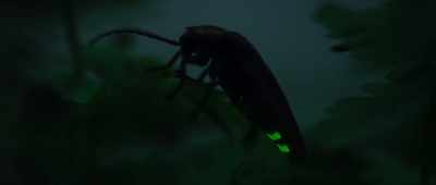 But using light to communicate
is inherently risky. - Alien Worlds