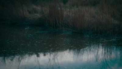 But you want to look
into things, ask questions. - The Essex Serpent