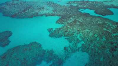But warming seas are disrupting
this system. - Attenborough's Life in Colour