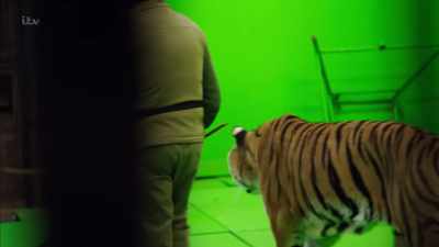 '..But it wasn't safe
with his big cats.' - Britain's Tiger Kings - On the Trail with Ross Kemp