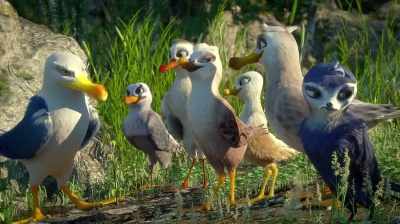 But water is
fundamental to seagulls. - Manou the Swift