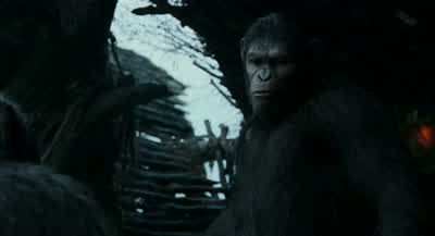 But we must show strength! - Dawn of the Planet of the Apes