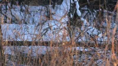 But we had sleeping bags,
and so this is the true test. - Life Below Zero: Next Generation