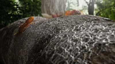 But they were
super attracted, - Fantastic Fungi