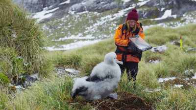 But we've also worked alongside
men and women - Blue Planet II