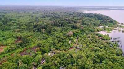 BUT WHAT ABOUT HERE, - Lost Cities of the Amazon
