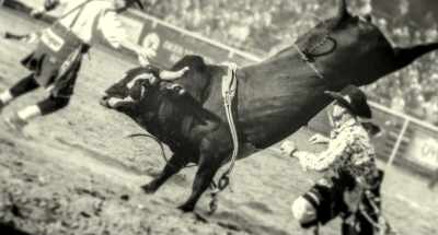 But what goes up must come down, - Trader