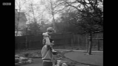 But what I do remember
is this garden. - Peter Sellers: A State of Comic Ecstasy