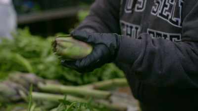 But what I love is that under
those rough outer leaves - Stanley Tucci: Searching for Italy