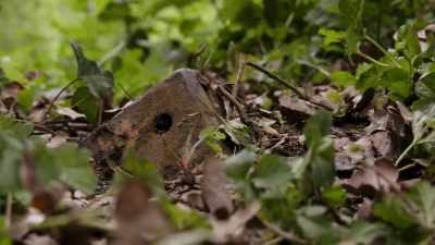 But what were the nazis
trying to secure here, - Secret Nazi Ruins