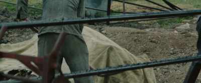 But what if the war comes to Germany? - The Zookeeper's Wife