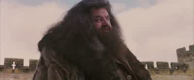 But whatever Fluffy's guarding,Snape's trying to steal it. - Harry Potter and the Philosopher's Stone