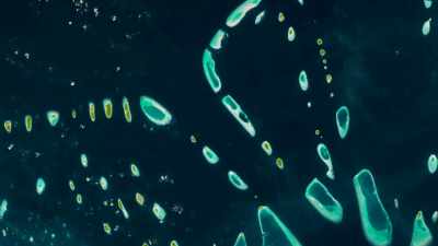 But what's intriguing to think
is that living organisms - One Strange Rock