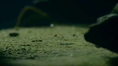 But when this accidental
waste gas filled the atmosphere, - One Strange Rock