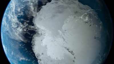 But when, in spring, the sea ice melts, - Our Planet