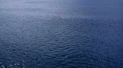 But whether they've
strategically paired together, - Shark Attack Files