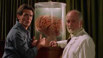 But who, I mean who, who would- - The Primevals