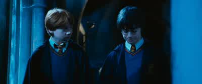 But why?- Because I told her to. - Harry Potter and the Chamber of Secrets