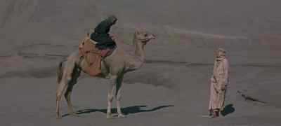 But why, lord? - Lawrence of Arabia
